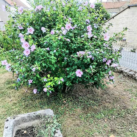 4 Ou 2 Parking Wifi Terrasse Cosy * Conde-sur-Sarthe