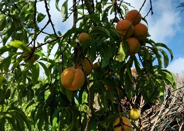 4 Ou 2 Parking Wifi Terrasse Cosy Apartament *